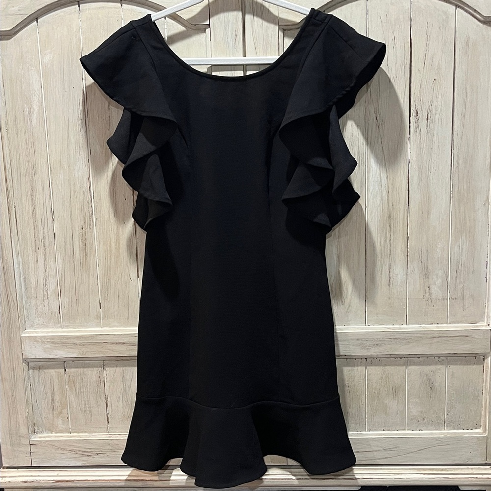 BCBG Little Black Dress Ruffled Arms And Hem Zippers Back Size 4 Tall